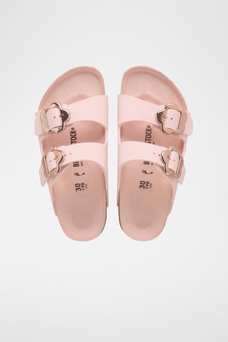 Mules Arizona - Rose