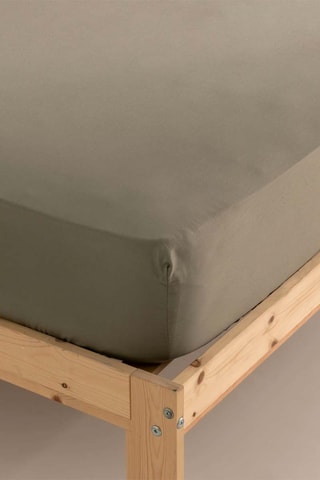 Lenzuolo sotto in raso di cotone 117 fili/cm² Ferreira - Kaki