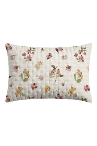 Federa Morella - Beige