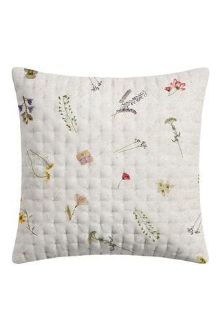 Federa Miravet - Beige