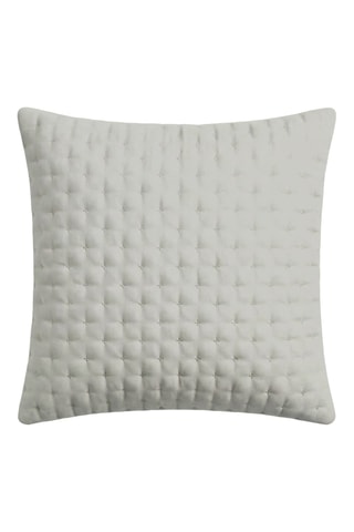 Federa Gris Plata