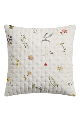 Federa Miravet - Beige