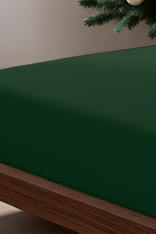 Parure lenzuola in cotone 79 fili/cm² Liso - Verde
