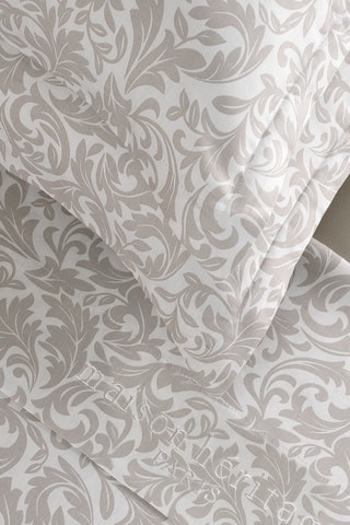 Parure lenzuola in raso di cotone 80 fili/cm² Esprit Damas - Taupe