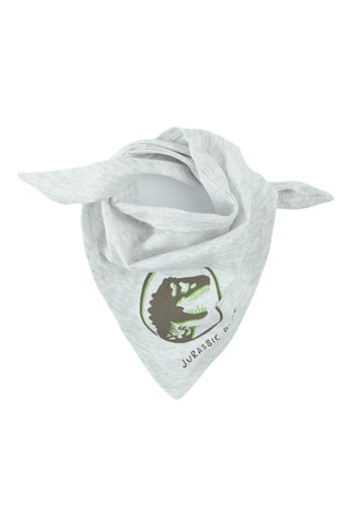 2 foulards The Jurassic World - Vert d’eau et gris