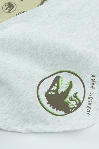 2 foulards The Jurassic World - Vert d’eau et gris