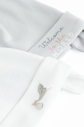 2 bonnets aviateurs à oreilles - Gris clair et blanc