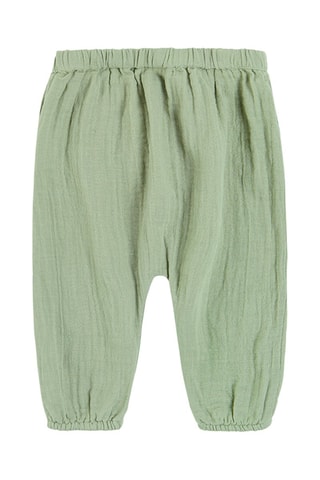 Jogging en coton biologique Vert olive
