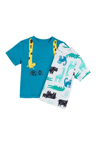 2 t-shirts Bleu canard et blanc