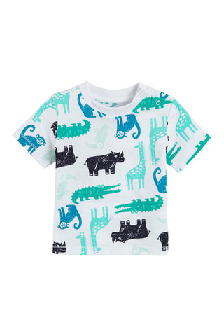 2 t-shirts Bleu canard et blanc