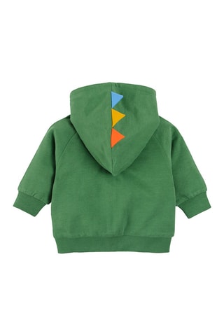 Sweat à capuche Vert