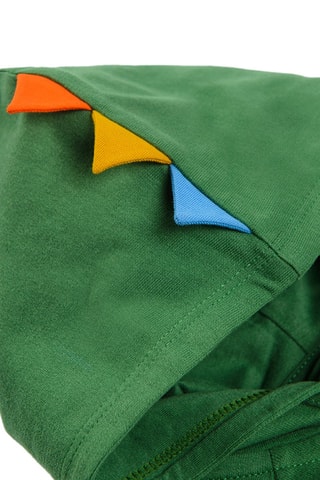 Sweat à capuche Vert