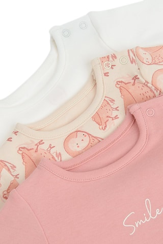 3 bodys - Rose