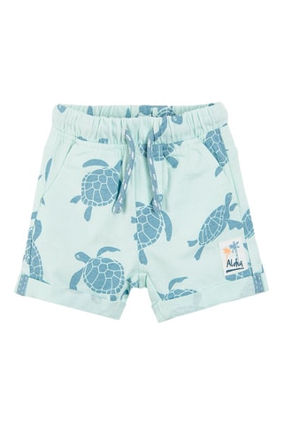 2 bermudas Vert