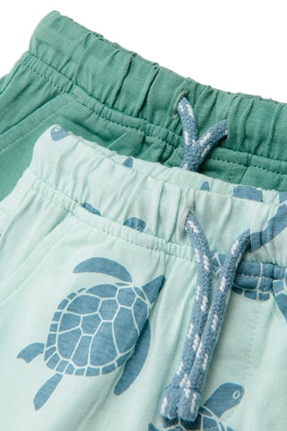 2 bermudas Vert
