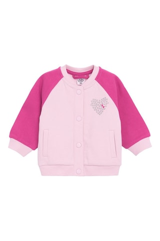 Teddy - Rose