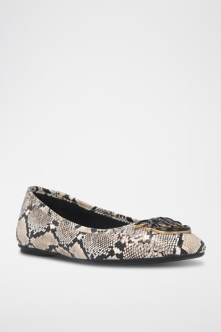 Bailarinas de piel Max 03 - Gris