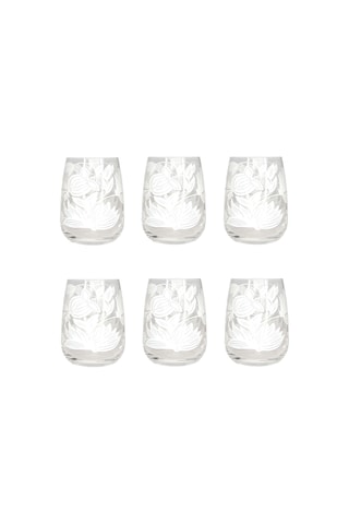 6 vasos Lysis - 30 cl