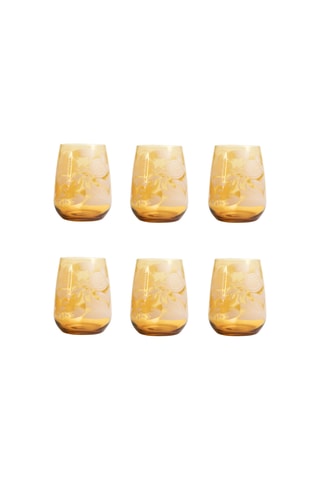 6 vasos Lysis - 30 cl