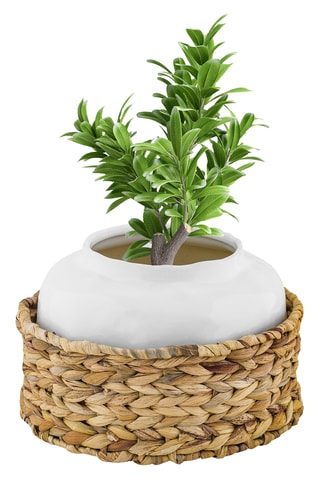 Jarrón de cerámica y soporte de ratán Siranuse - Blanco y beige