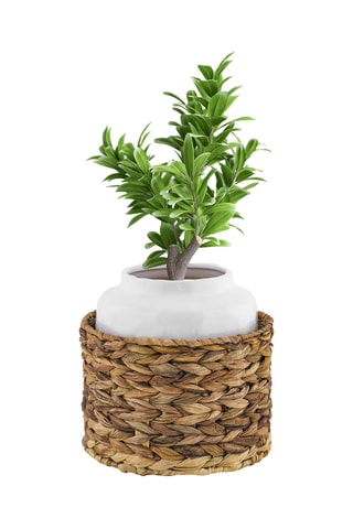 Jarrón de cerámica y soporte de ratán Siranuse - Blanco y beige
