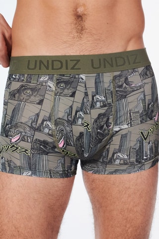 Boxers Repeatiz - Verde-esmeralda e cinzento