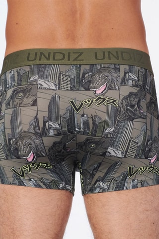 Boxers Repeatiz - Verde-esmeralda e cinzento