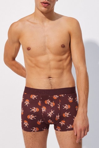 Boxers Repeatiz - Bordô e castanho