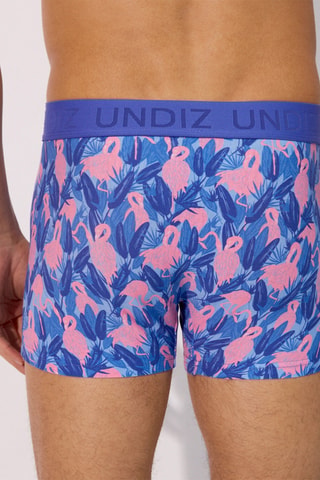Boxer Repeatiz Flambleuiz - Bleu roi et vieux rose