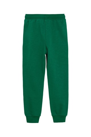 Pantaloni sportivi Hogwarts - Verde smeraldo