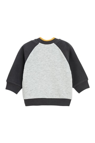 Felpa Batman Justice League DC Comics - Grigio melange