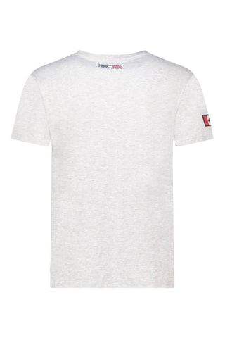 Camiseta Jaspereak - Gris