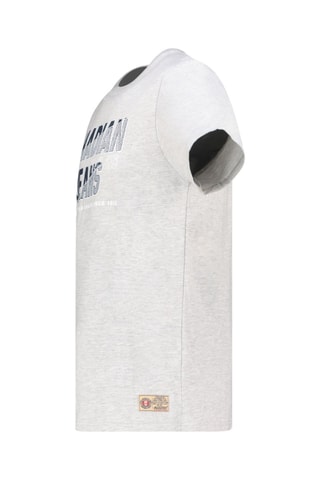 Camiseta Jaspereak - Gris
