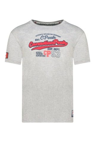 Camiseta Jurbeak - Gris