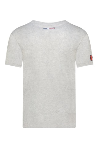 Camiseta Jurbeak - Gris