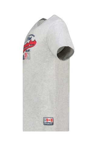 Camiseta Jurbeak - Gris