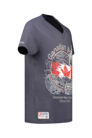 Camiseta Japple - Gris