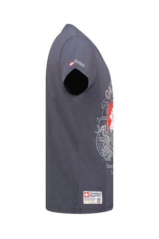 Camiseta Japple - Gris