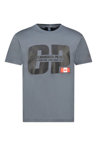 Camiseta - Gris