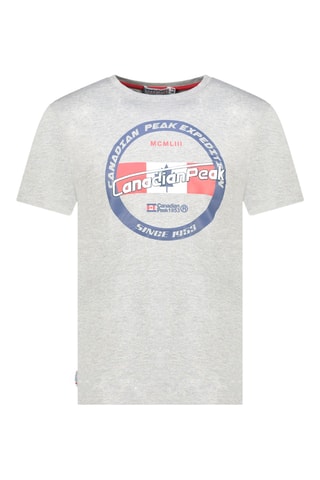 Camiseta - Gris