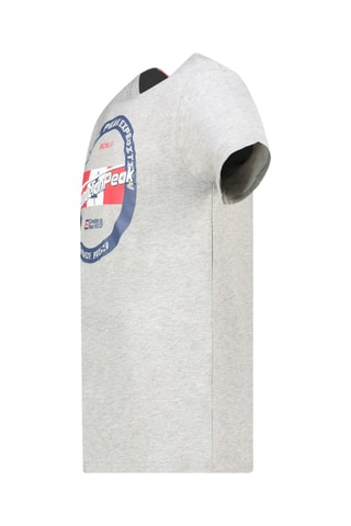 Camiseta - Gris