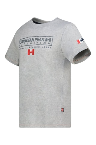 Camiseta - Blanco, gris y rojo