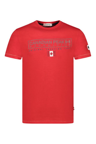 Camiseta - Blanco, gris y rojo