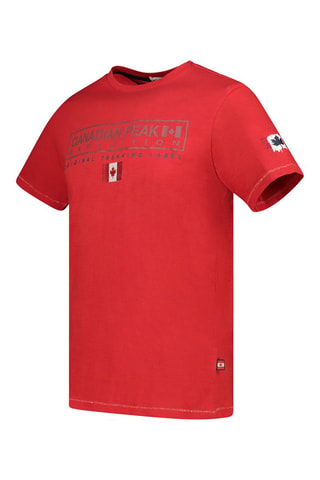Camiseta - Blanco, gris y rojo