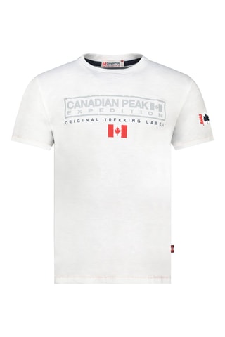 Camiseta - Blanco, gris y rojo