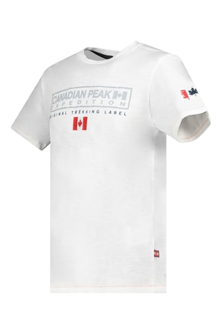 Camiseta - Blanco, gris y rojo