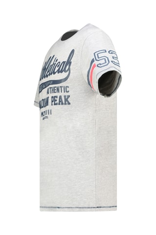 Camisetas - Gris
