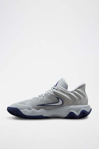 Giannis Immortality 4 - Gris clair et bleu cobalt