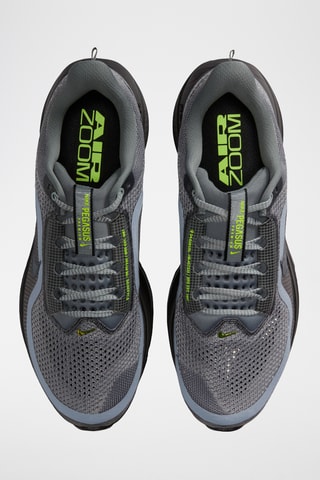 Pegasus Premium - Gris
