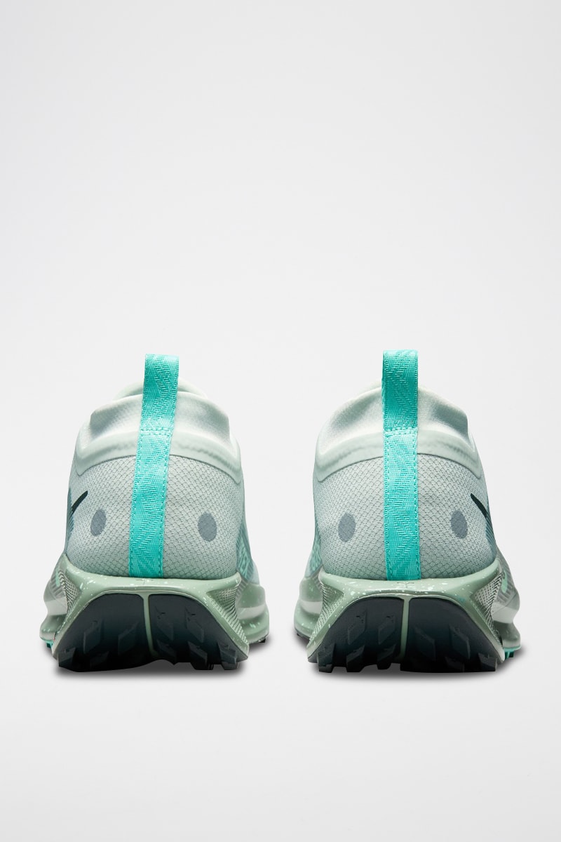 Nike Pegasus Trail 5 Gore-Tex - Gris claro y verde agua